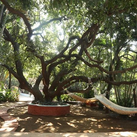Outpost@Alibaug Hotel Alībāg Buitenkant foto