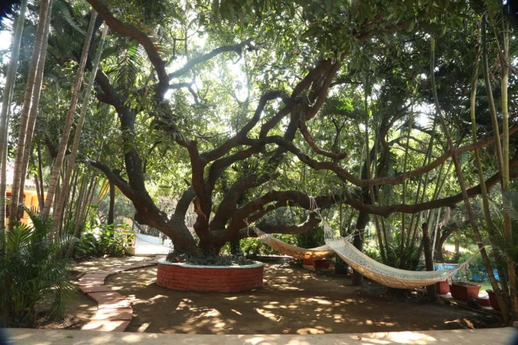 Outpost@Alibaug Hotel Alībāg Buitenkant foto